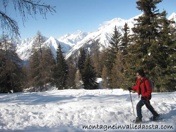 les ors valdigne